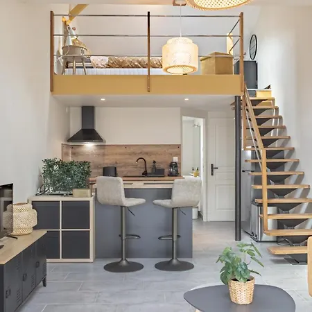 Διαμέρισμα Le Loft Savinien - Proche Troyes - 3 Pers *